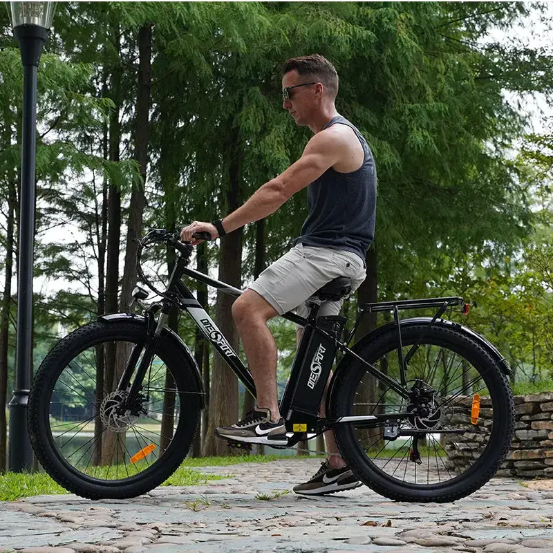 E-Bike OT13 48V 15Ah 250W Motor Electric Bike Aluminium Alloy Frame