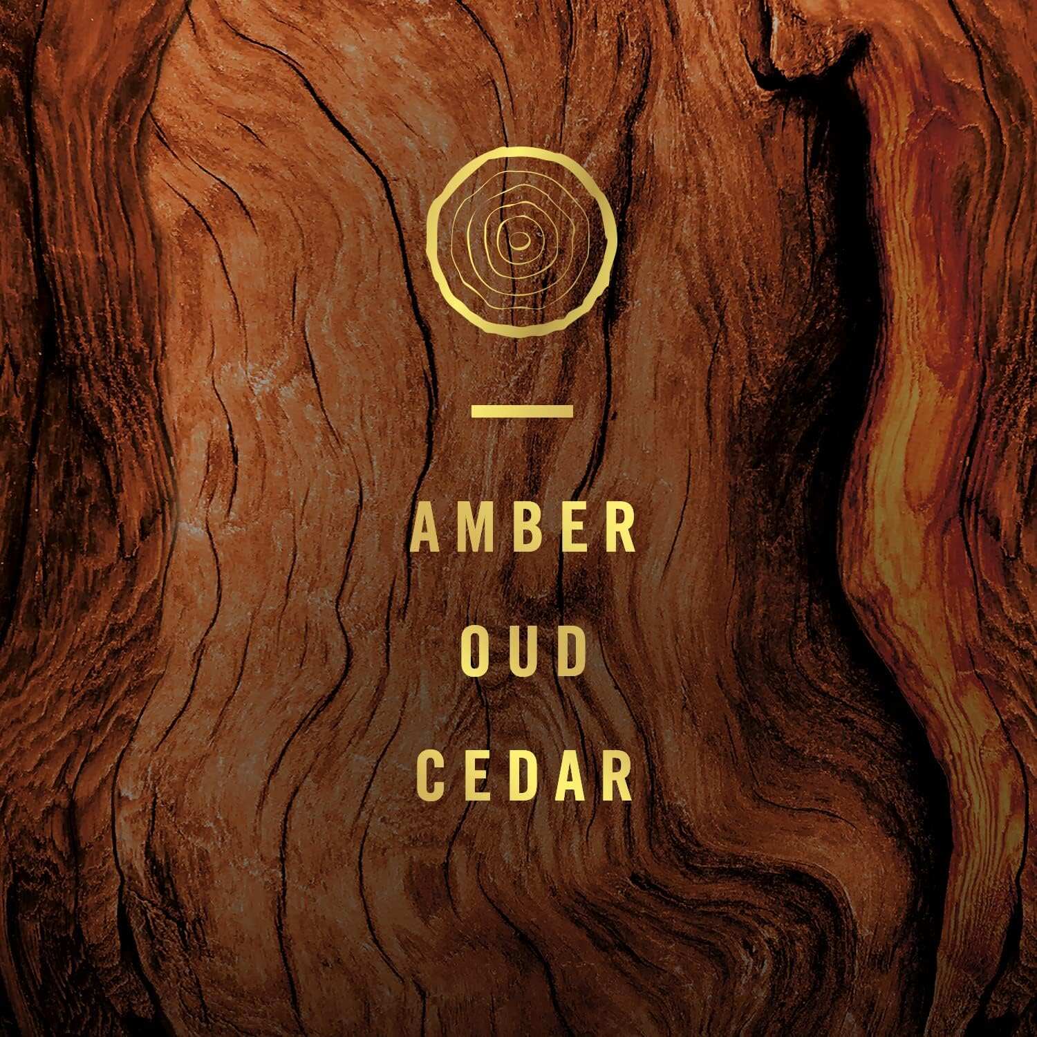 Febreze Odor-Fighting Fade Defy PLUG Air Freshener, Mountain, Ocean, Amber, (3) .87 fl. oz. Oil Refills