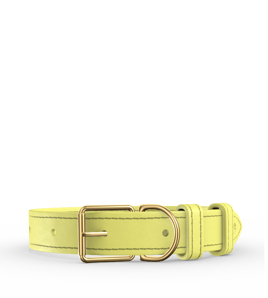 Clef Dog Collar