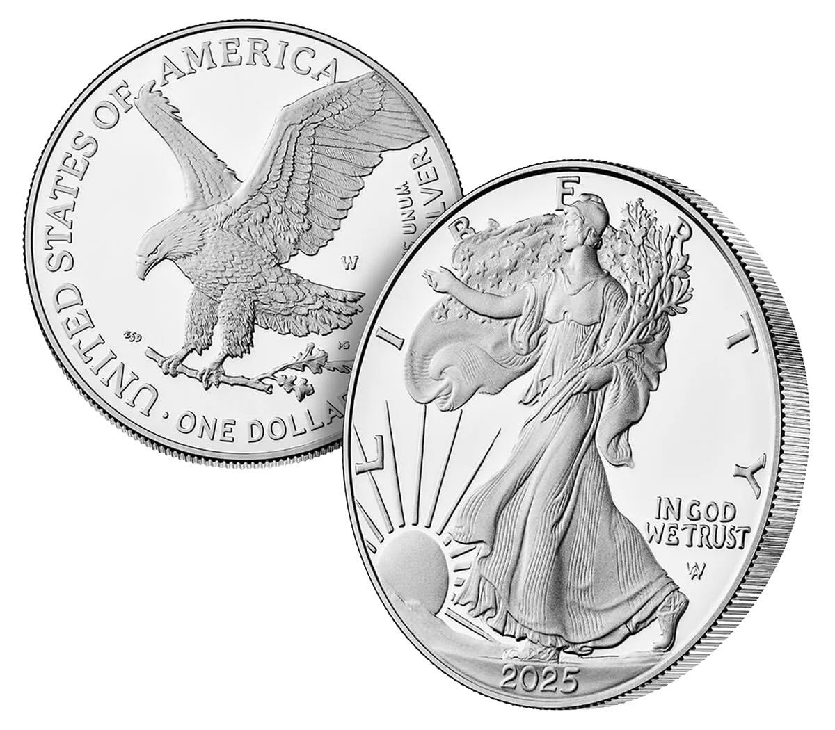 American Eagle 2016-2025 Silver Coin Sets