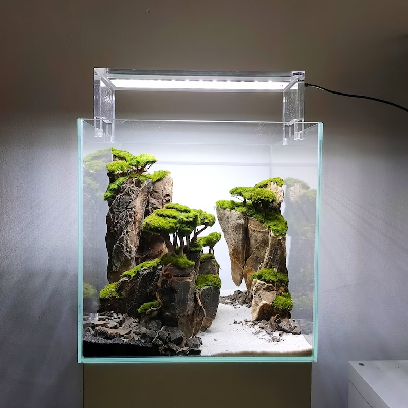 Ancient Stone glued aquascape for nano aquarium