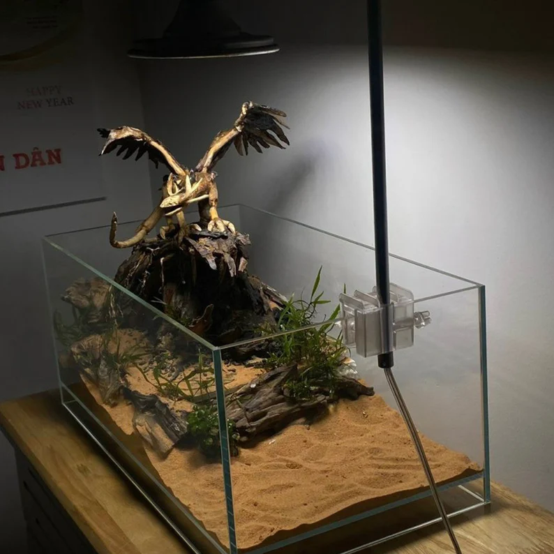 Ancient Stone glued aquascape for nano aquarium
