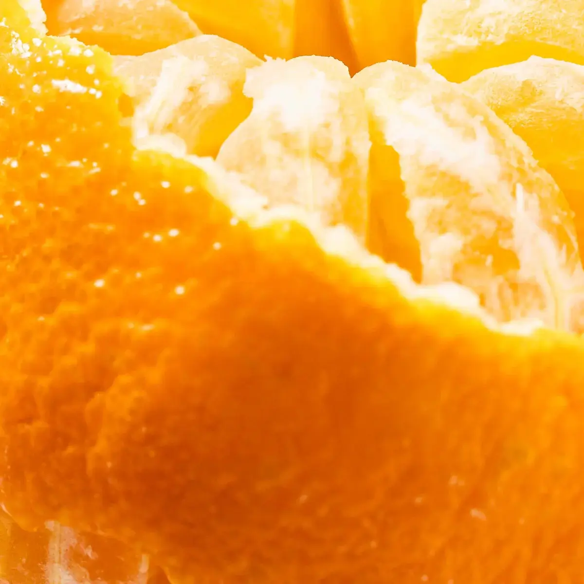 Ginger Clementine