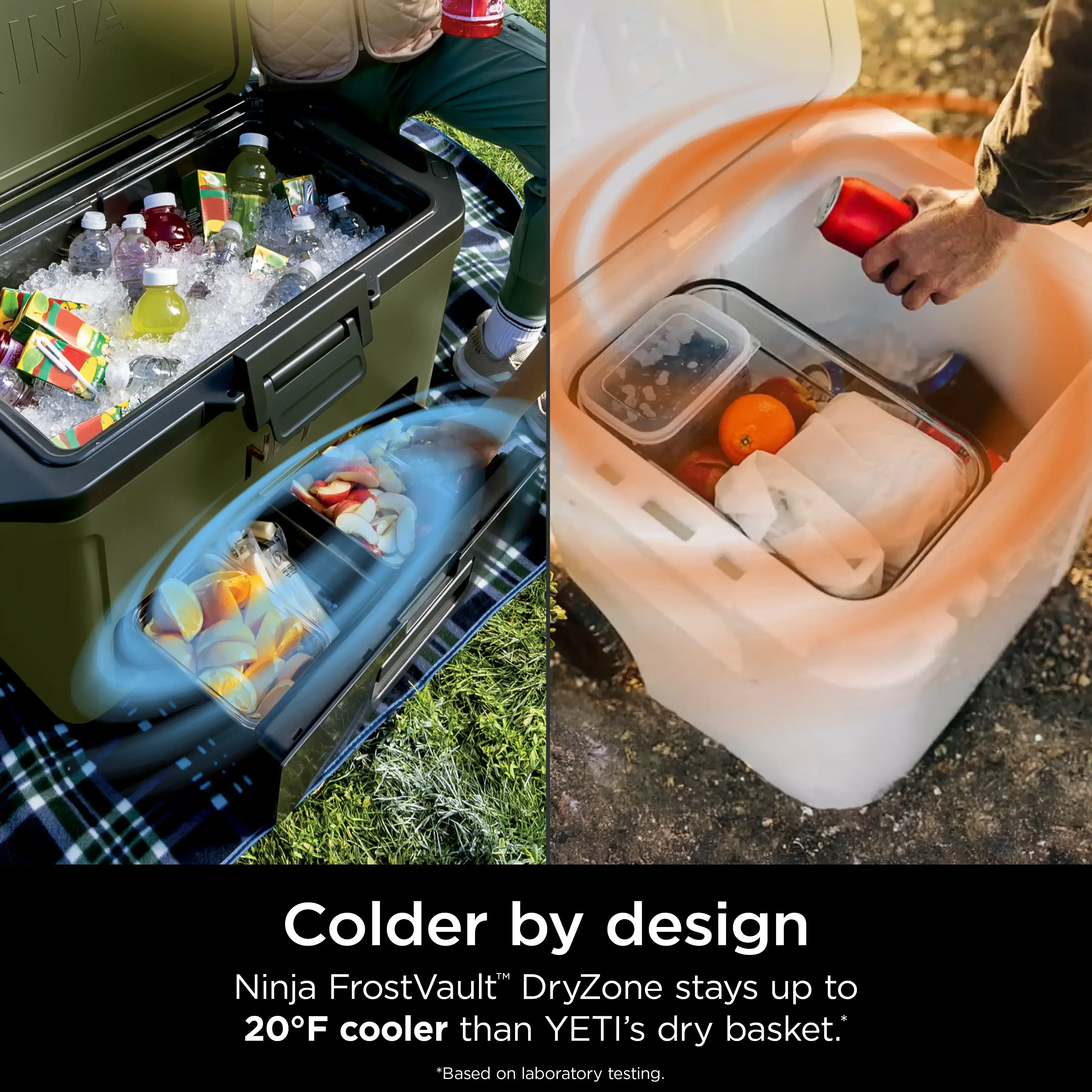 50qt Hard Cooler with Cold Dry Zone