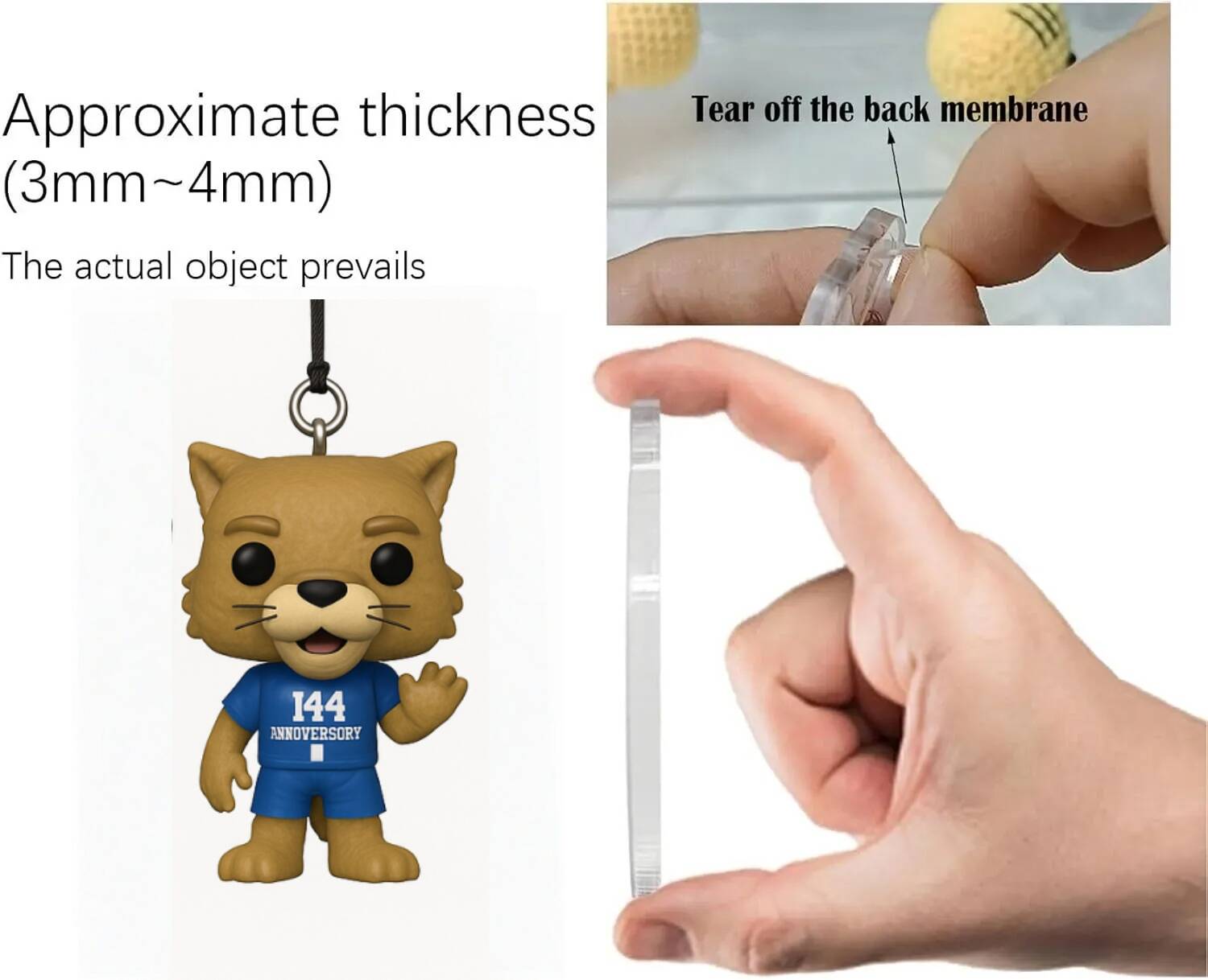 2025 Kentucky Wildcats 144th Anniversary Advent Calendar