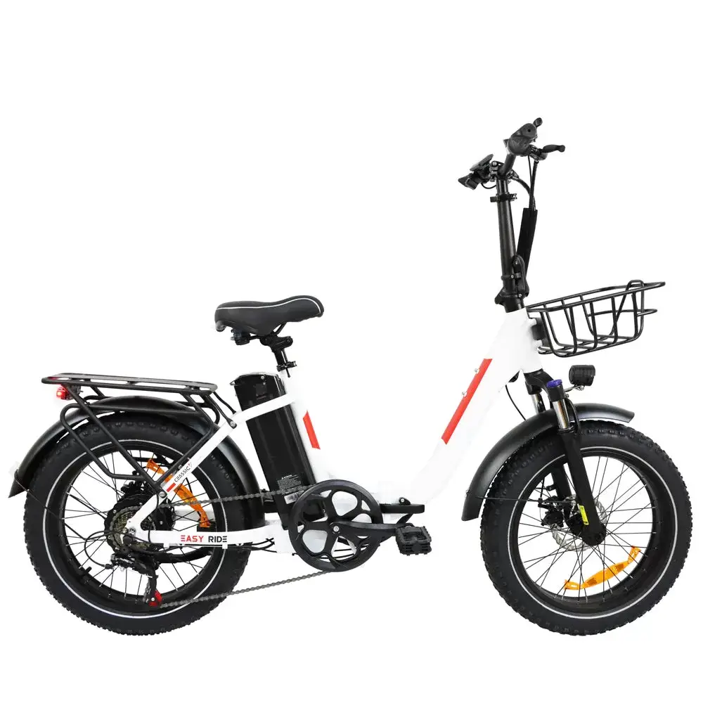 E-BIKE DZ2030 U-type Clause 48V 13Ah 500W Performance Motor SHIMANO 7-Speed