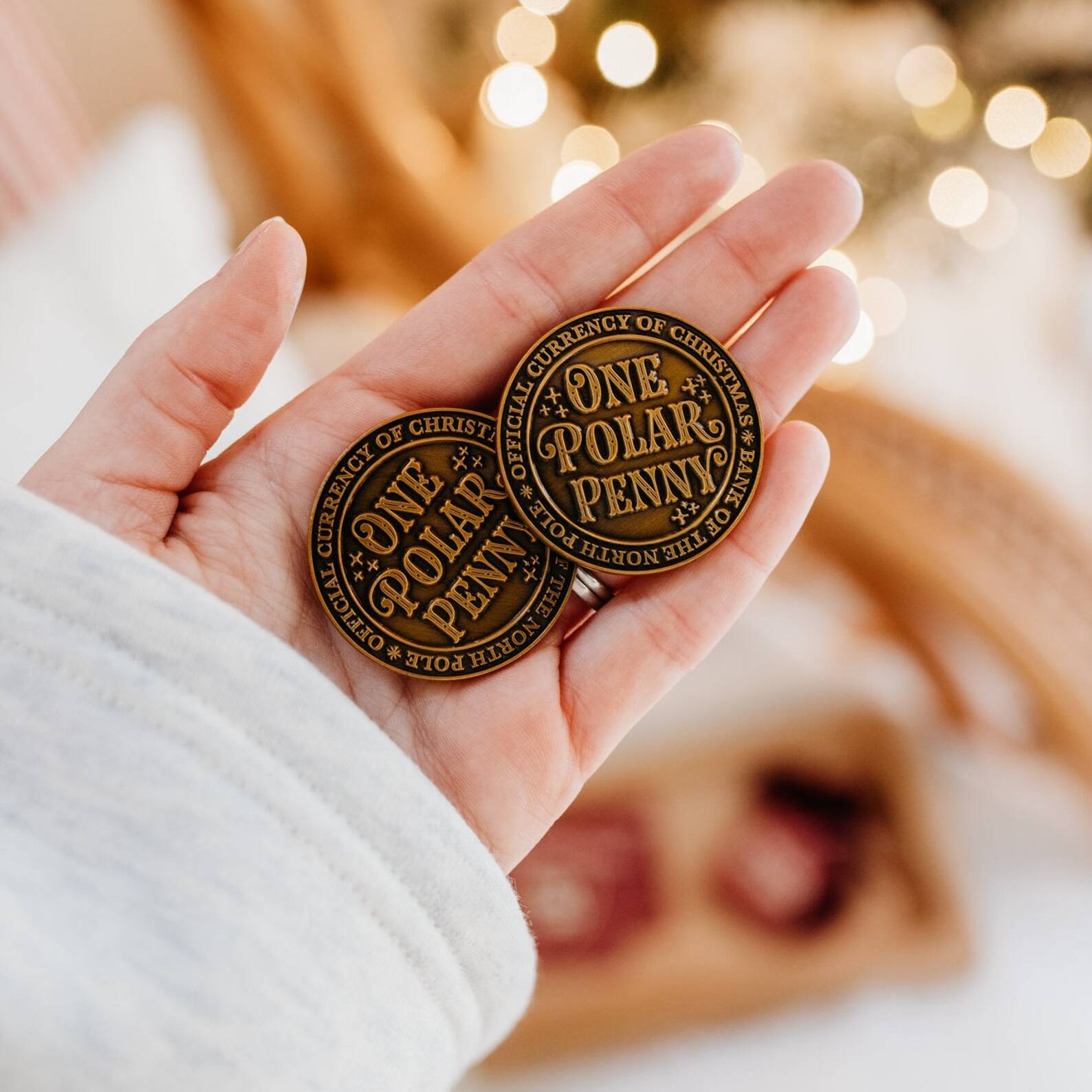 North Pole Polar Pennies Santa Coins christmas stocking filler