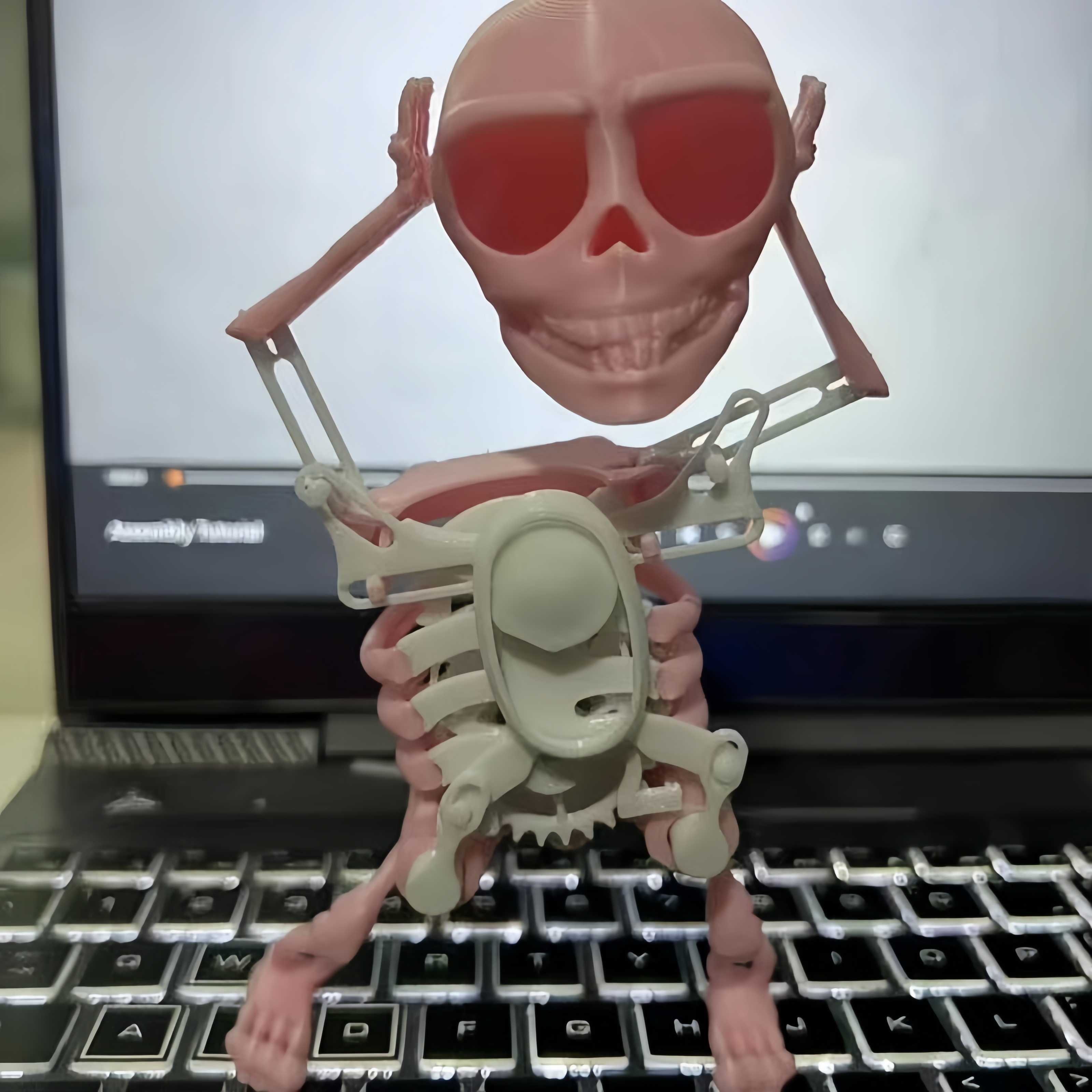 Dancing and Swinging 3D Skull Toy🎉