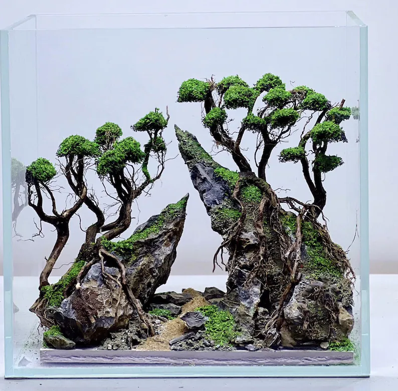 Ancient Stone glued aquascape for nano aquarium