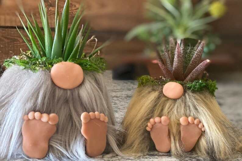 Gnome Planters