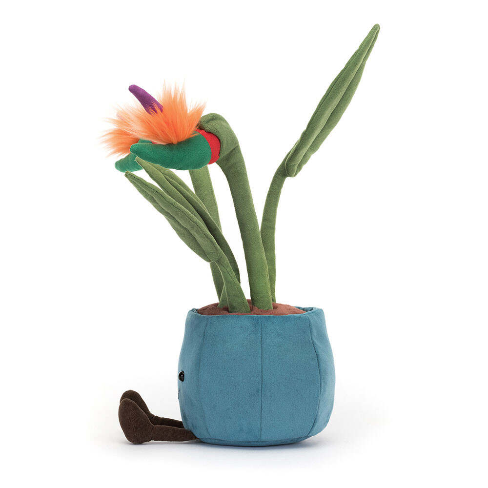 Amuseables Bird Of Paradise