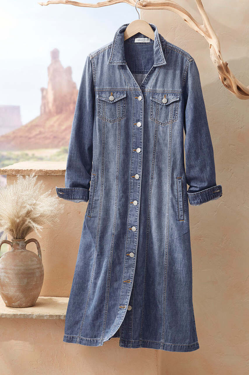New Roads Shirtdress