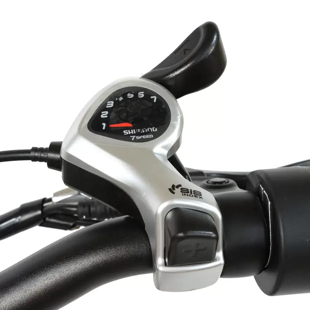 E-BIKE DZ2030 U-type Clause 48V 13Ah 500W Performance Motor SHIMANO 7-Speed