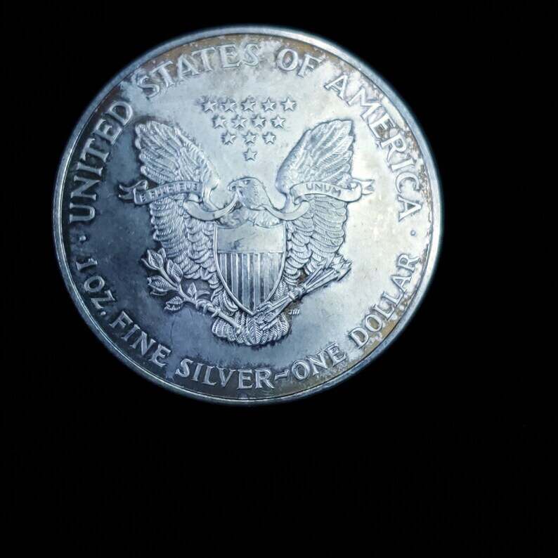 1995 Silver Eagle - Key date - Toned - Regular 60  lot# 1220