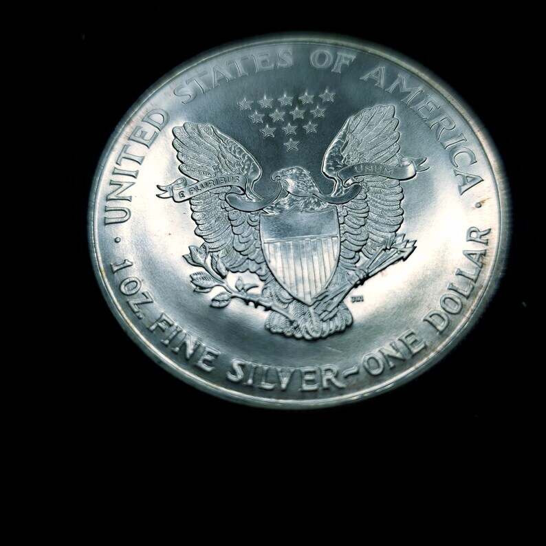 1994   American Silver Eagle  - Slightly  Toned    -  1 Oz .999 Tough  Key date   Lot# 84  Regular 89