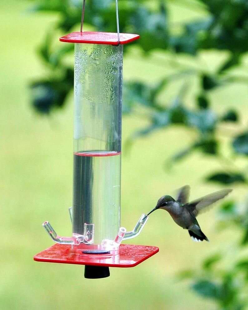 50% OFF Peter's Hummingbird Feeder - Buy 2 Give Free Cleaning Brush and Hook