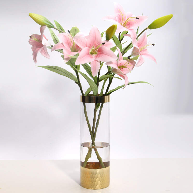 Glass Vase Modern Transparent Hydroponic Flower Vase Home Decoration Ornaments