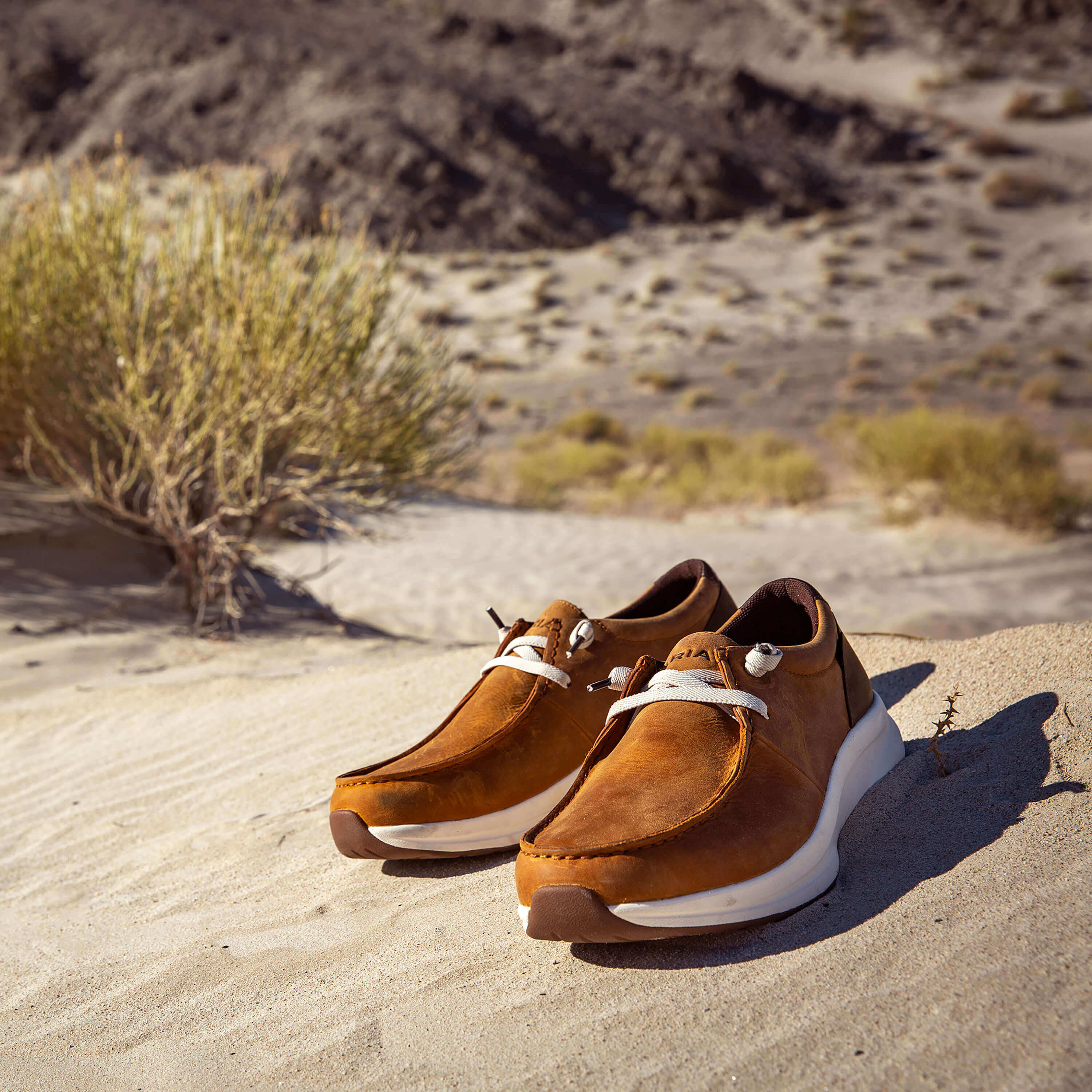 Buckeye Waterproof Shoe