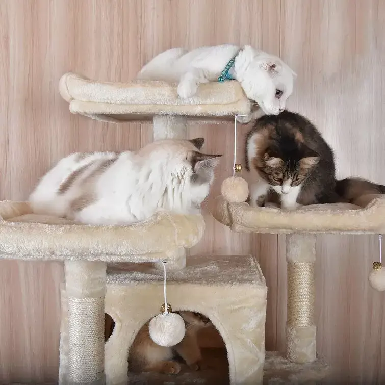 Lima Pet Heavy Duty 68 Inch Multi-Level Cat Tree