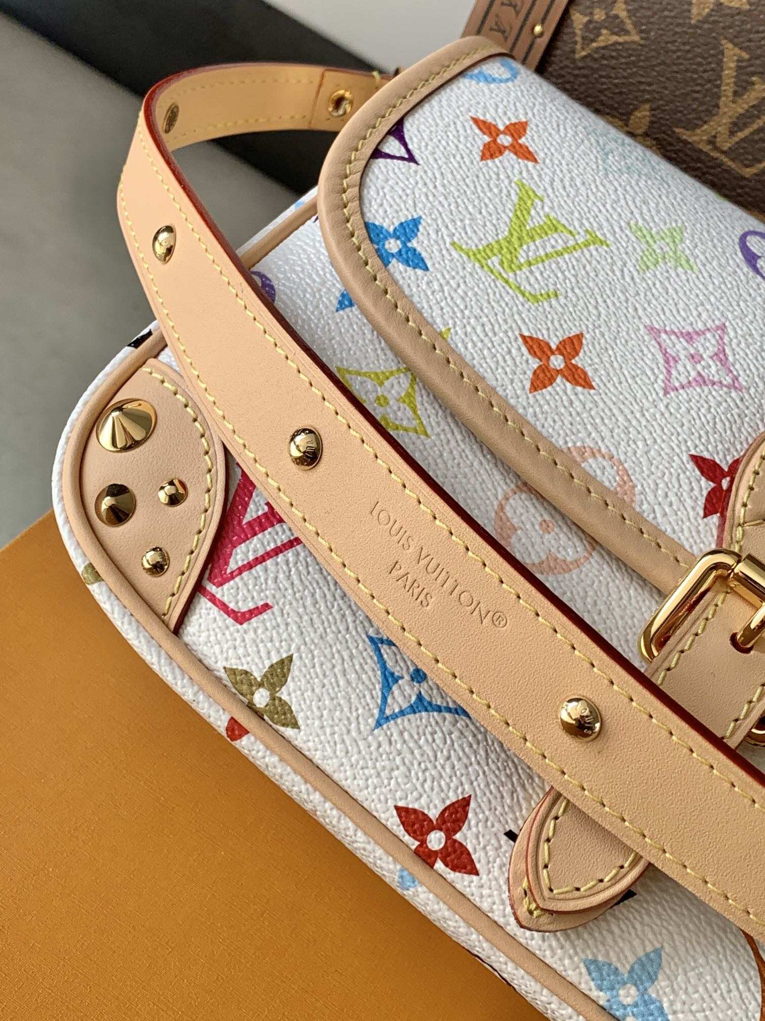 Louis Vuitton's classic Monogra This colorful Diane PM handbag with chips