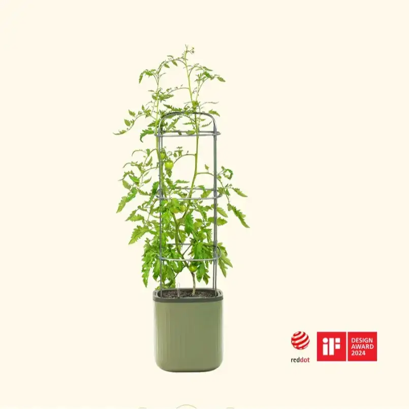 EZ Self-Watering Tomato Planter with Trellis - Climbing Planting Stand for Thriving Tomatoes, Self-Watering Design, Sturdy Trellis Structure, Essential Garden Addition