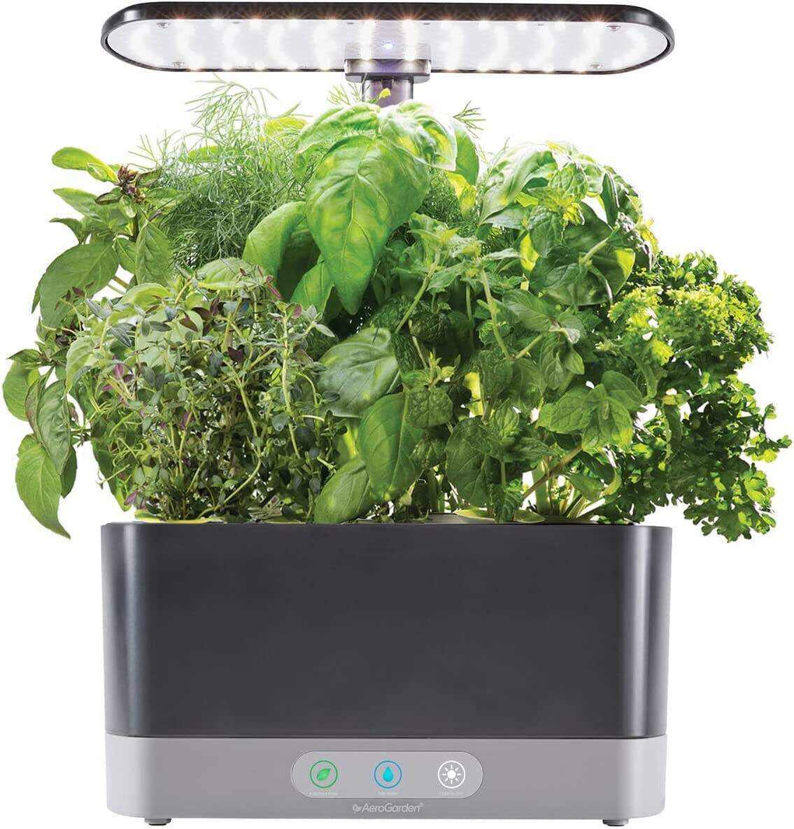 Harvest XL with Gourmet Herbs Seed Pod Kit - Indoor Garden with LED Grow Light