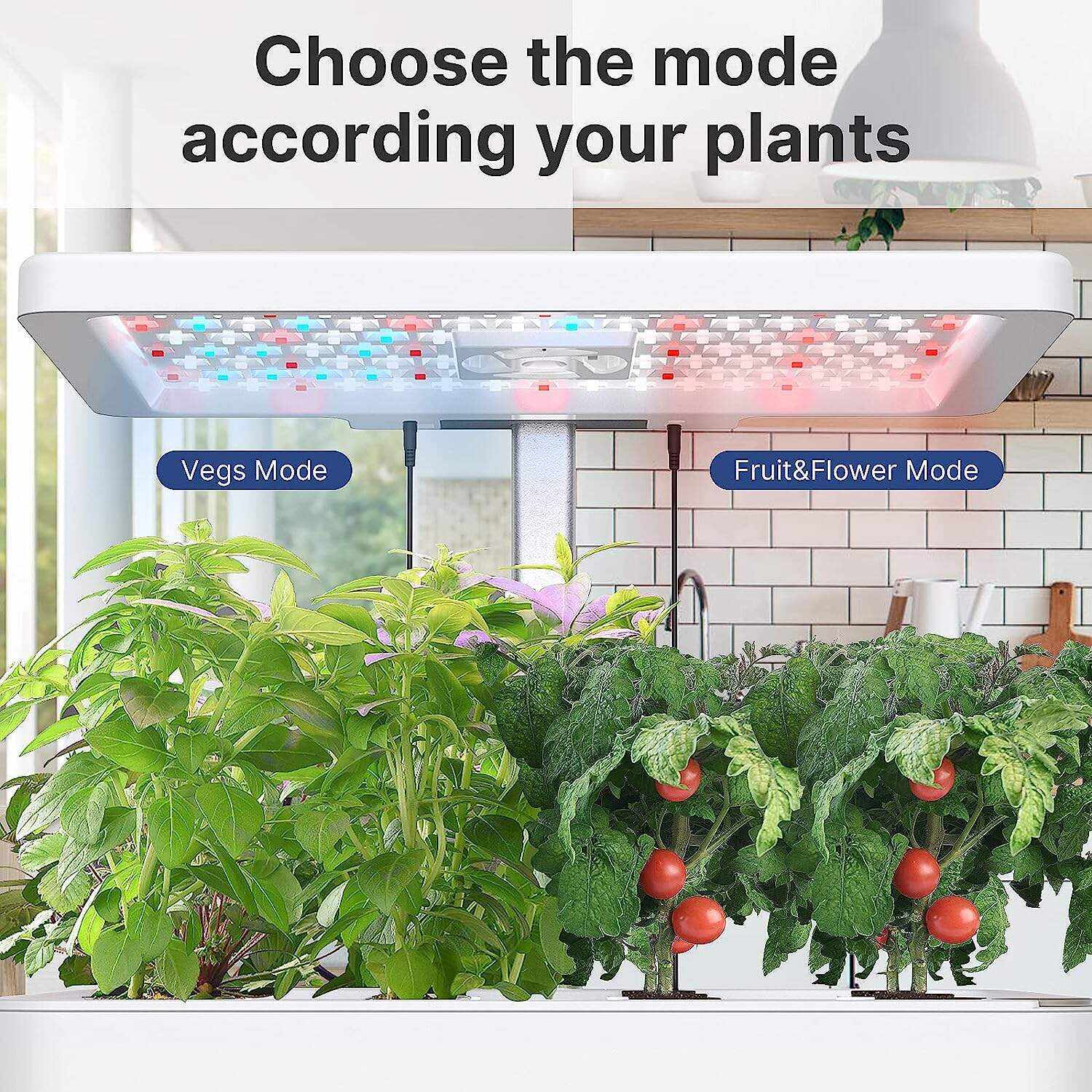 Hydroponics Growing System 12Pods, Indoor Garden with LED Grow Light