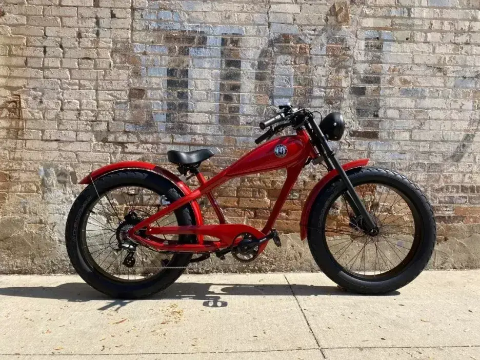 2025 NEW PREMIUM ELECTRIC BIKE