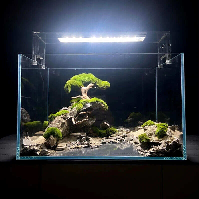Ancient Stone glued aquascape for nano aquarium