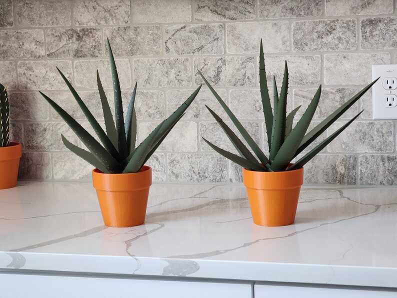 3D Printed Aloe Vera Pen Plant