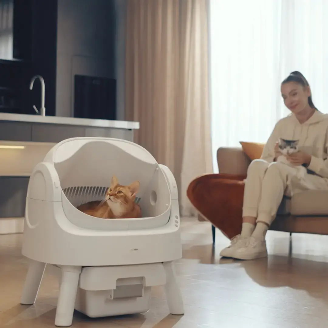 PetPivot AutoScooper 11 Self-Cleaning Cat Litter Box