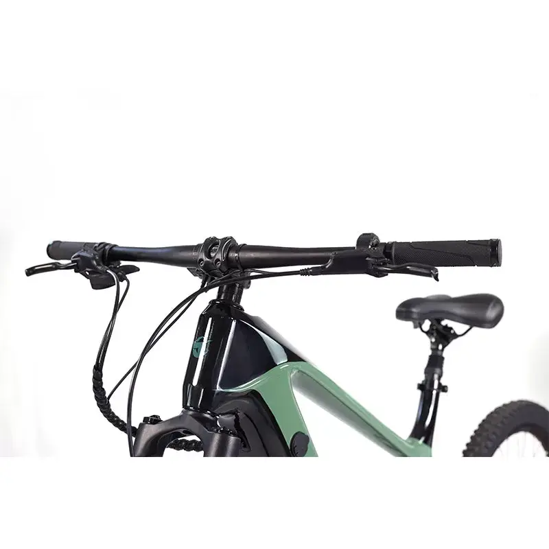 E-Bike ES2725 43V 10.5Ah Carbon Fiber Frame 450W Motor Carbon Fiber Hardtail Electric Bike