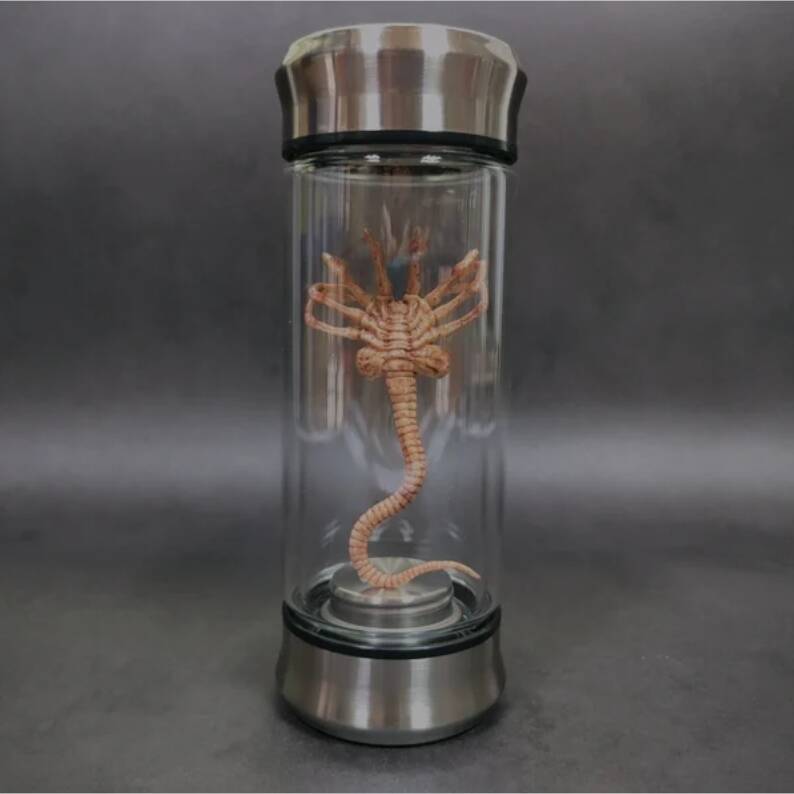 Alien Jar Xenomorph Specimen Facehugger Embryo Glass Jar Movie Prop Replica
