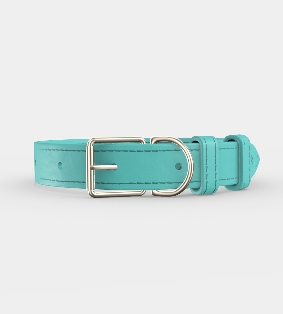 Custom Clef Dog Collar