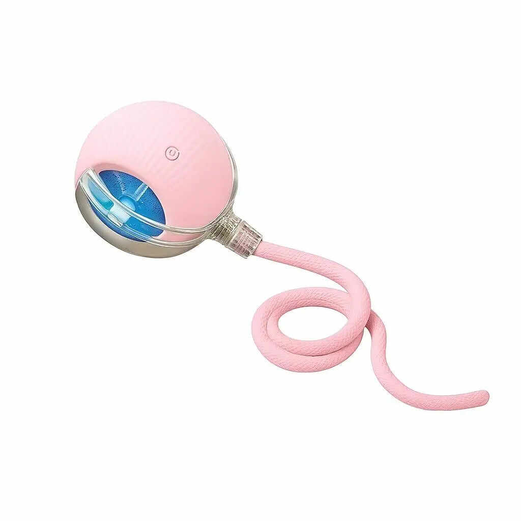 Interactive Pet Rolling Ball Toy with 2 Replaceable Tails, Automatic Dog & Cat Teaser Toy