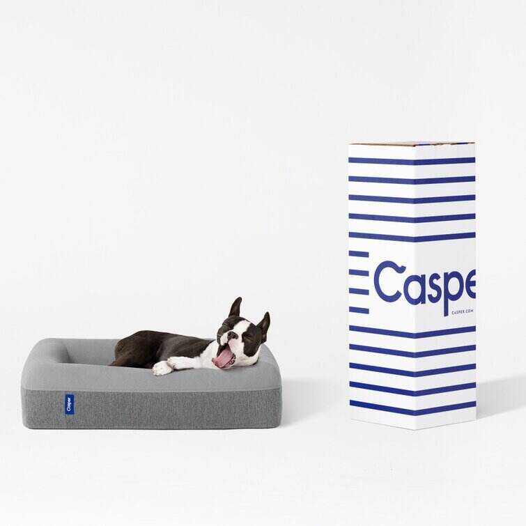 The Casper Dog Bed