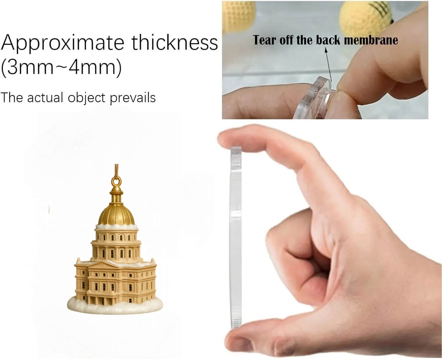 Michigan State Spartans 100th Anniversary 2025 Advent Calendar