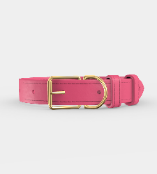 Custom Clef Dog Collar