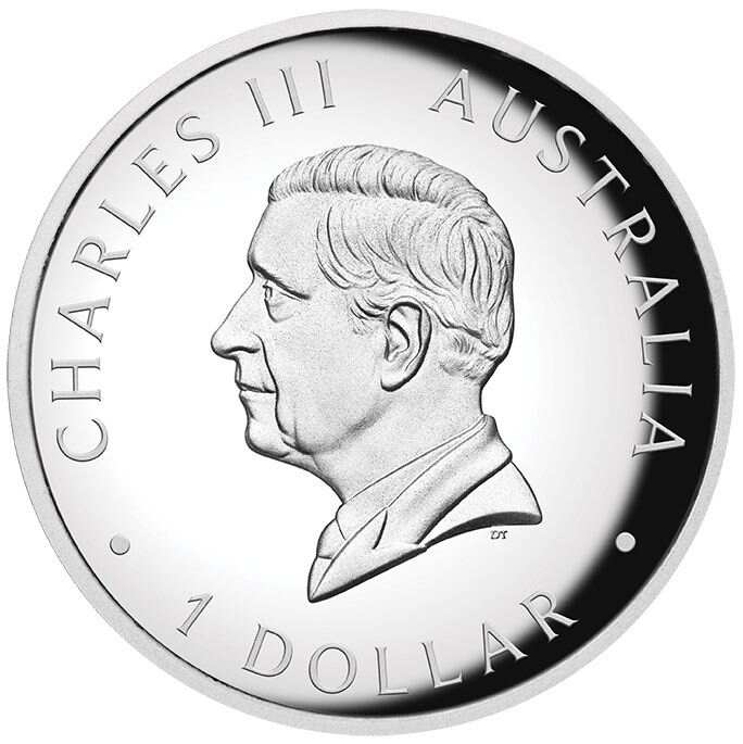 2024 $1 Australian Kangaroo 1oz Silver Proof High Relief Coloured Coin