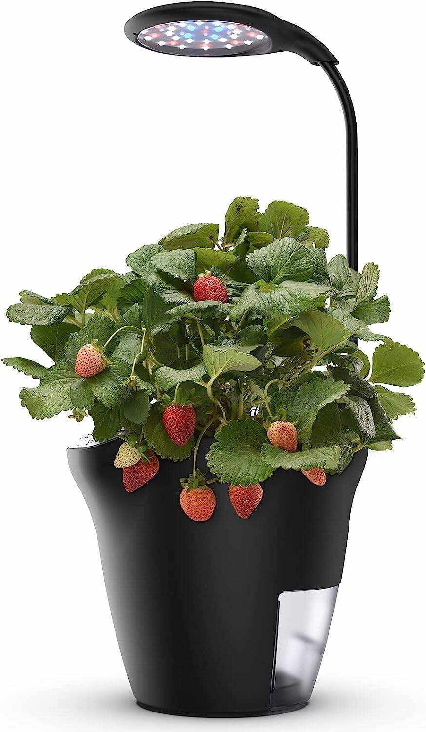 Hydroponics Growing System 12Pods, Indoor Garden with LED Grow Light