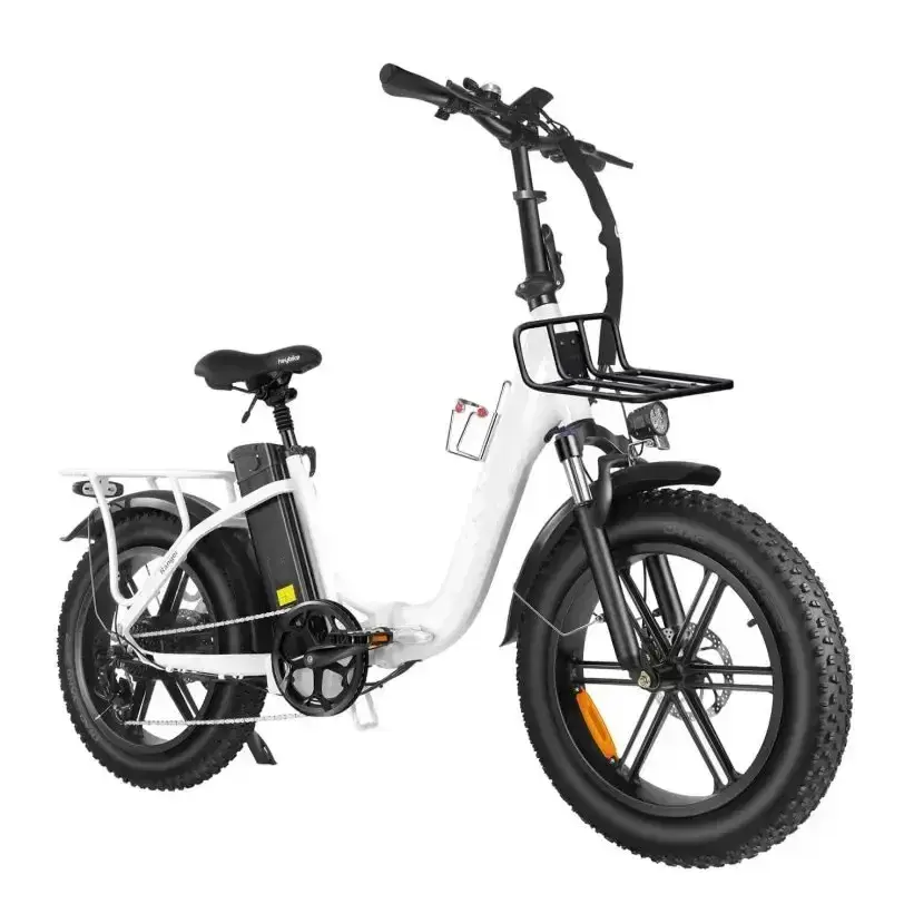 Outdoor electric bike with replaceable 48V / 15Ah lithium battery