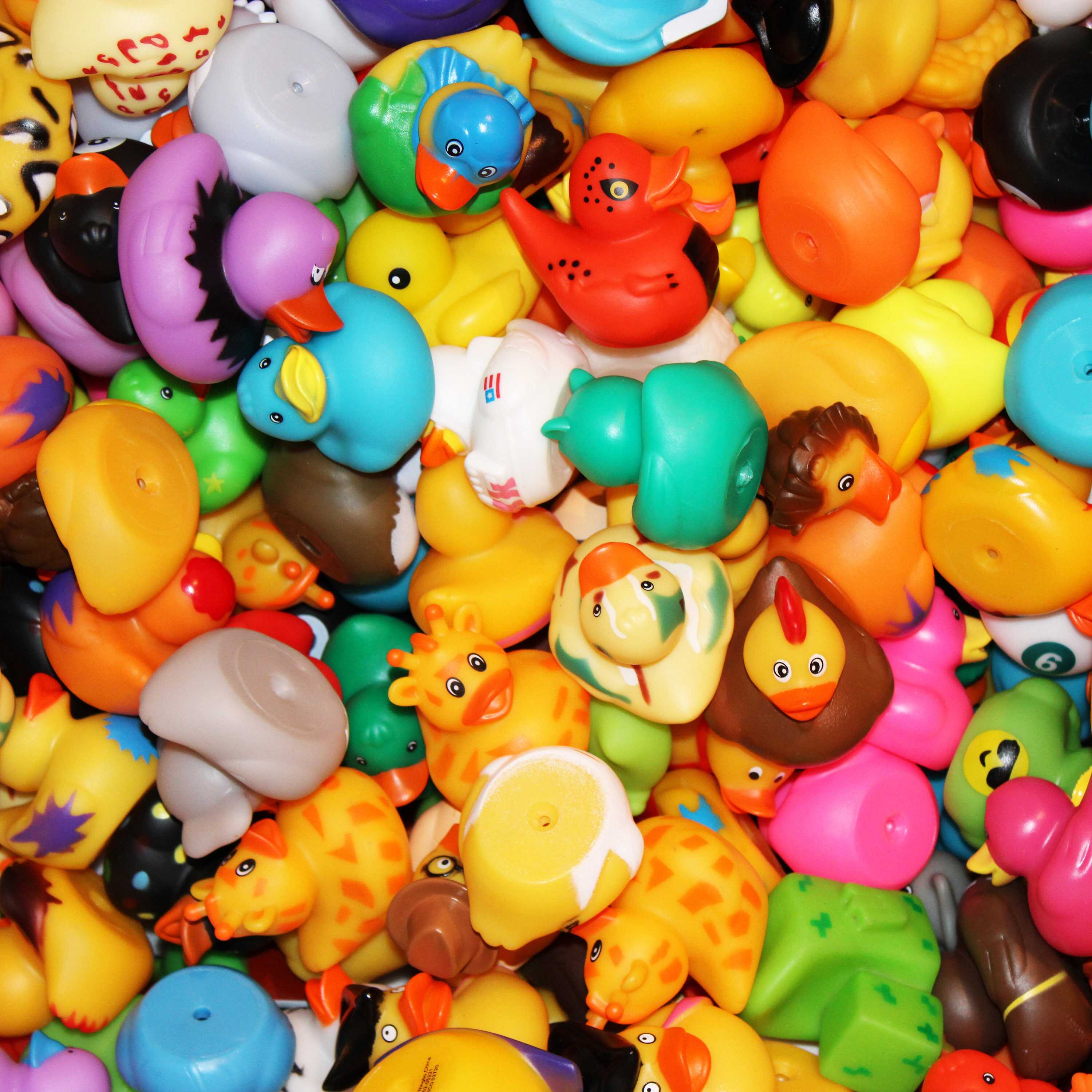 Bag of Ducks | 