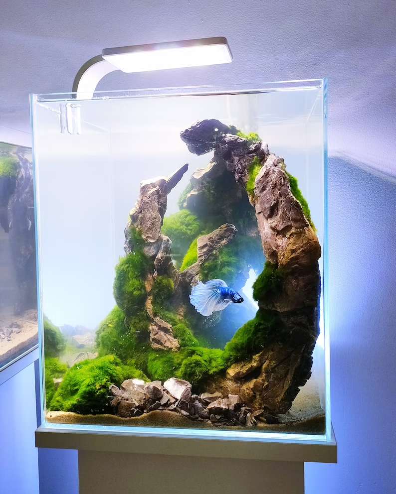 Ancient Stone glued aquascape for nano aquarium