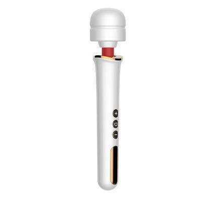 Large Vibrator with Strong Vibrations for Intense Pleasure