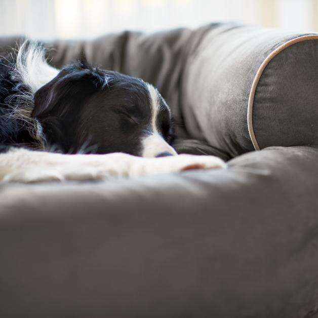 [LAST DAY - 75% OFF]💥 Sofa Dog Bed 2023