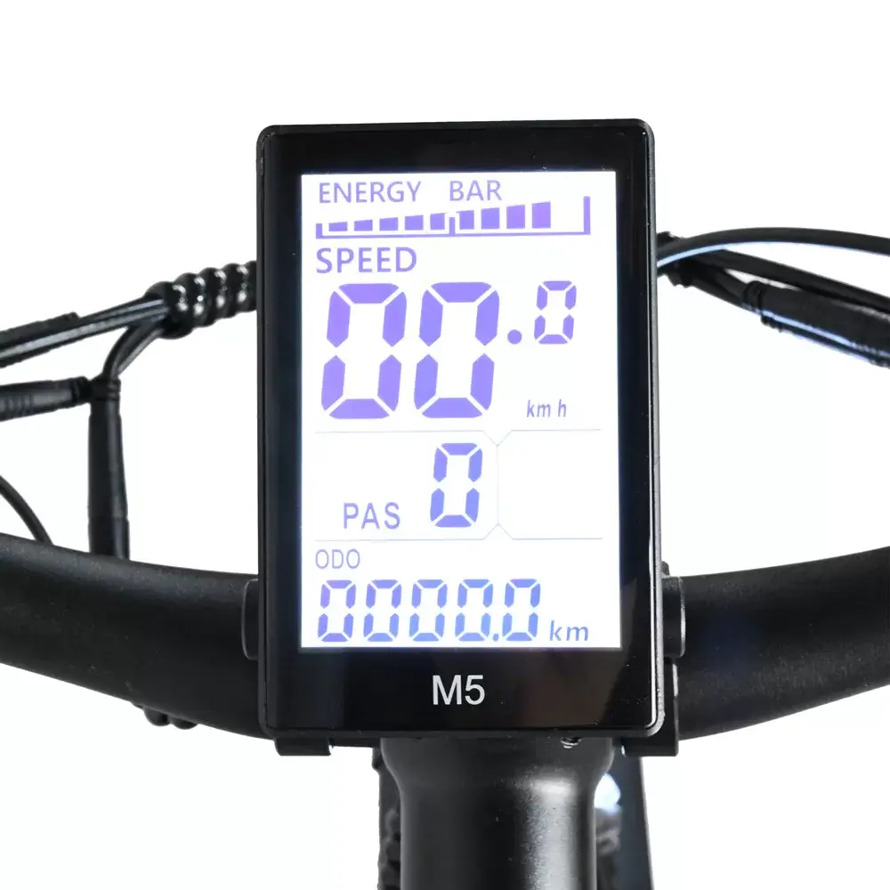 E-bike DP2619 Spoke Tire Type 48V 13AH 750W Performance Motor