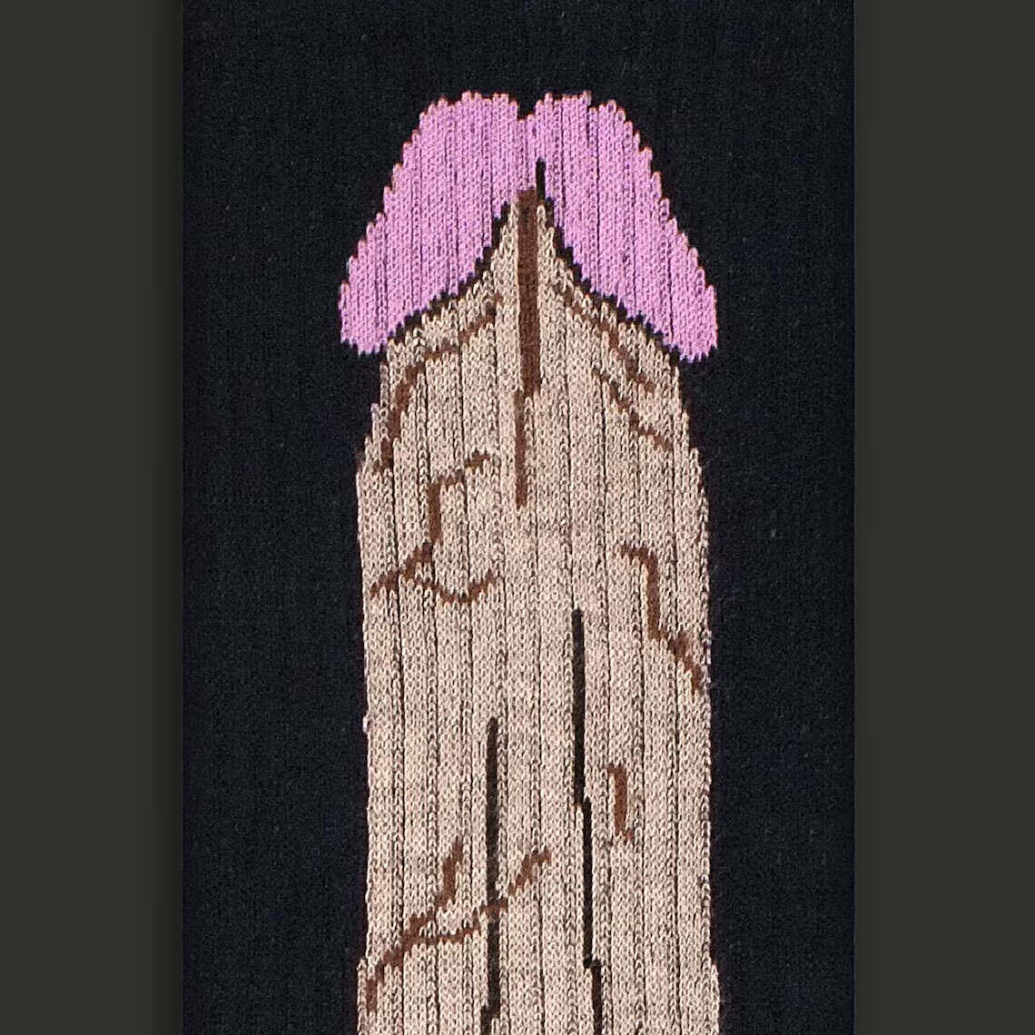 Funny Novelty Dick Socks – Bold Quirky Print