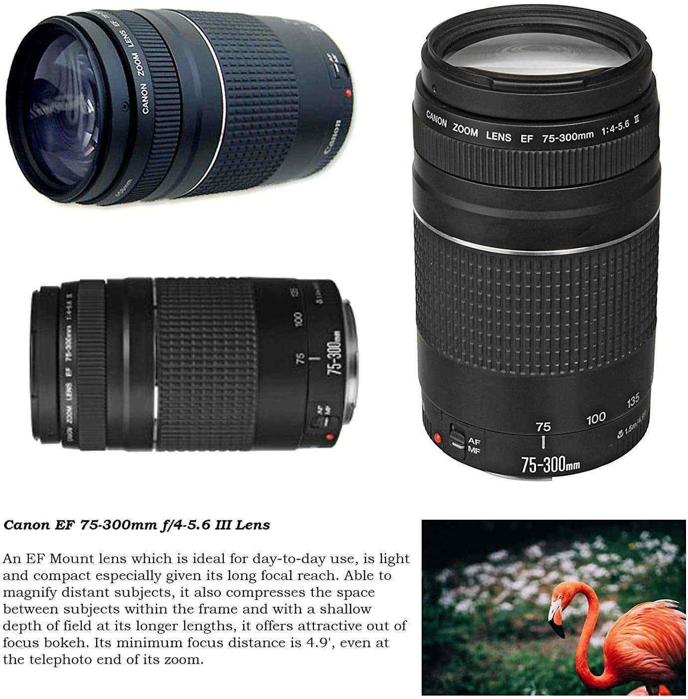 EOS 5D Mark IV DSLR Camera w/ 24-105mm STM Lens Bundle + EF 75-300mm III Lens, 50mm f/1.8 and 500mm Preset Lens + Deluxe Backpack + 64GB Memory + Monopod + Professional Bundle