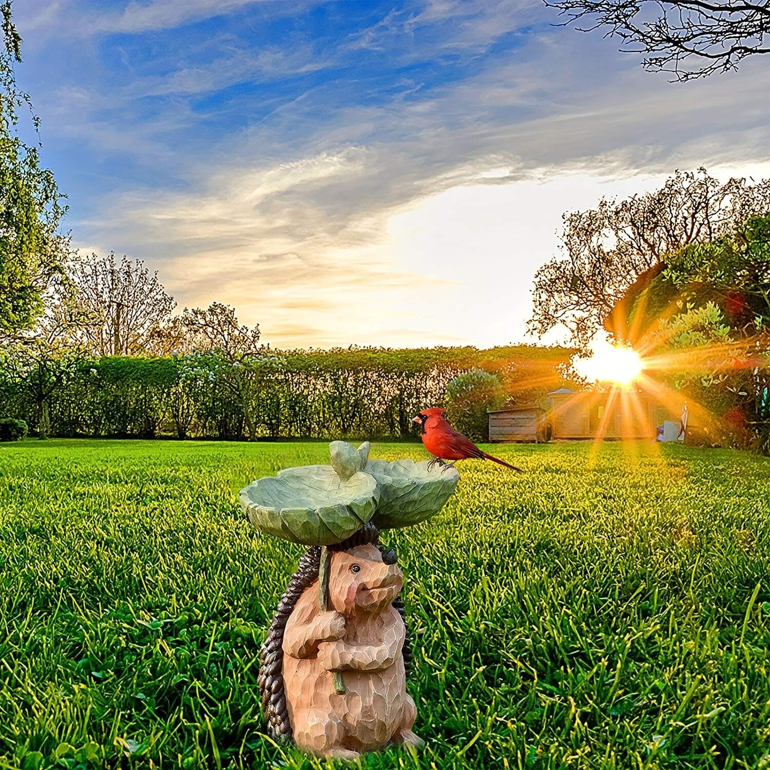 1pc  Hedgehog Bird Bath Tray Statue Ornaments, Cute Animal Resin Bird Feeder Figurine, Exquisite Bird Bath Artwork Sculpture For Garden Lawn Yard Patio Decor