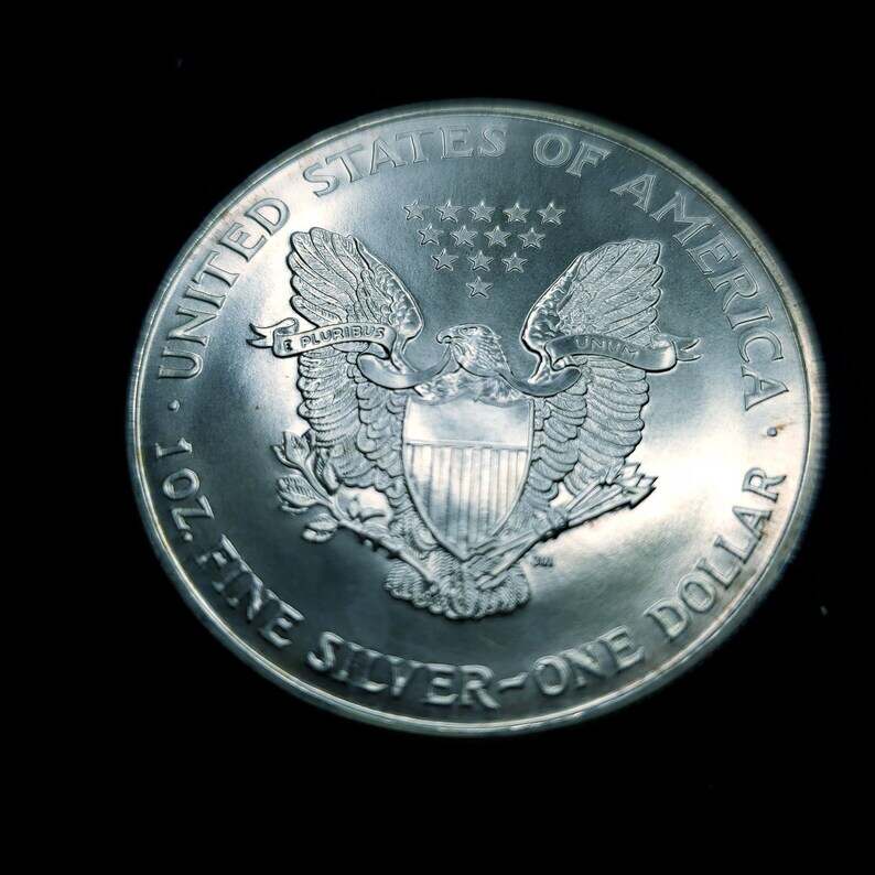 1994   American Silver Eagle  - Slightly  Toned    -  1 Oz .999 Tough  Key date   Lot# 84  Regular 89